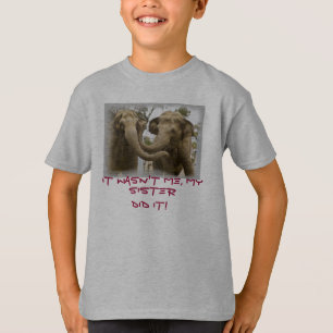 Camiseta Hermanos del elefante del niño