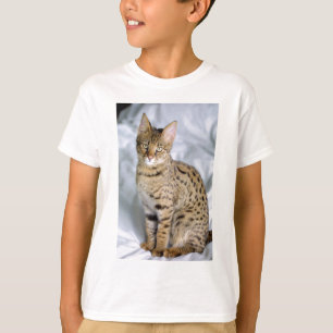 Camiseta Hermosa cara de gato barato de Bengala