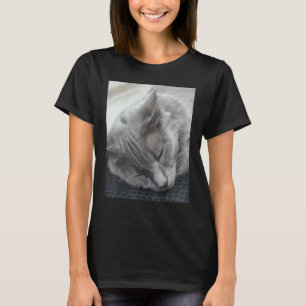 Camiseta Hermosa fotografía de gato gris durmiendo
