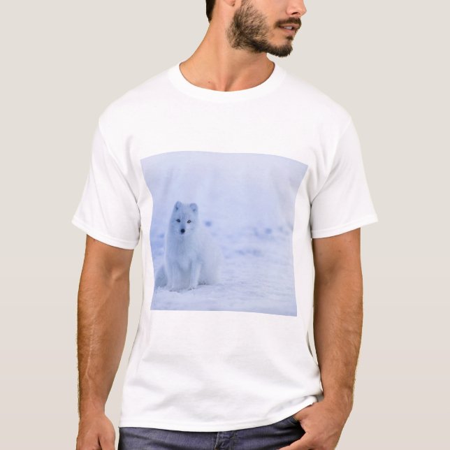 Camiseta Hermosa Fox Ártica (Anverso)