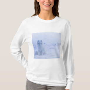 Camiseta Hermosa Fox Ártica