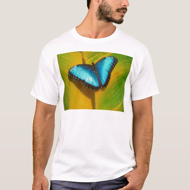 Camiseta Hermosa Mariposa Irisada (Anverso)