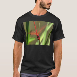 Camiseta Hermosa pintura acrílica con dragón de piratas