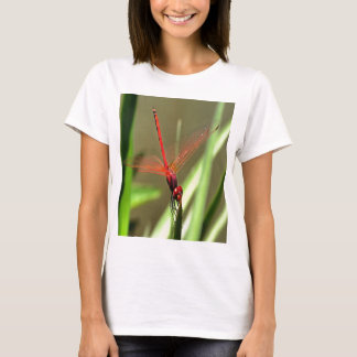 Camiseta Hermosa pintura acrílica con dragón de piratas