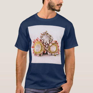 Camiseta Hermosas Proteínas Con Fondo Llano