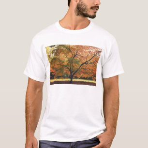 Camiseta Hermoso Árbol Caído