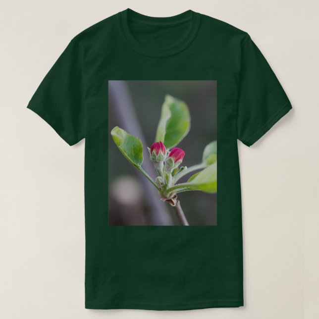 Camiseta Hermoso aroma rosa de manzana (Diseño del anverso)