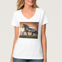 Hermoso caballo negro