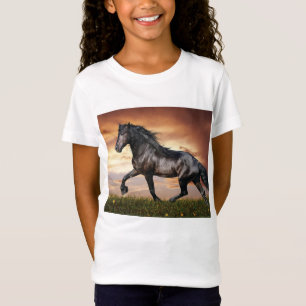 Camiseta Hermoso caballo negro