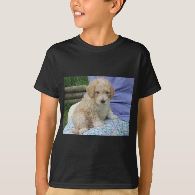 Camiseta Hermoso cachorro de cavapoo mirando hacia ti, aisl (Anverso)