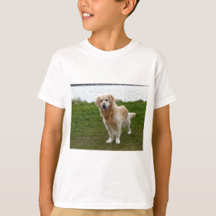 Camiseta Hermoso perro Retriever Dorado de pie