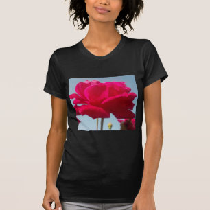 Camiseta Hermoso Rosa Celestial Rojo Contra Azul
