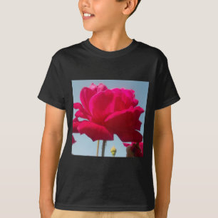 Camiseta Hermoso Rosa Celestial Rojo Contra Azul
