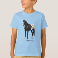 Hermoso Stallion de Caballo de Barrio Appaloosa Ne