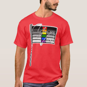 Camiseta Heteroflexible Pride Su Bandera Válida