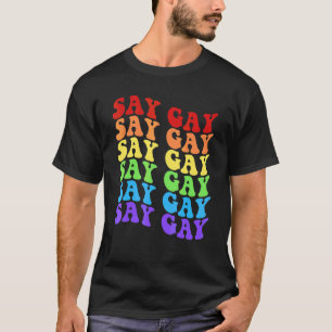 Camiseta Hey Florida Say Gay Lgbtq Rainbow Pride 1
