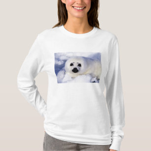 Camiseta Hielo de cachorro de foca de arpa Golfo de San Lor