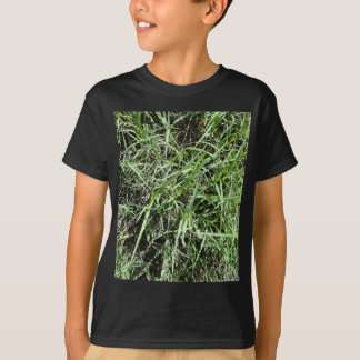 Camiseta Hierba