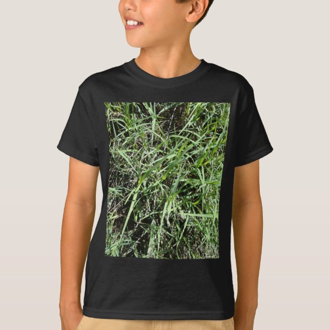 Camiseta Hierba (Anverso)