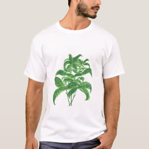 Camiseta Hierbas de albahaca jardín de cocina botánica acua