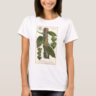 Camiseta Hierbas Especias Comida Antigua, Planta de Pimient