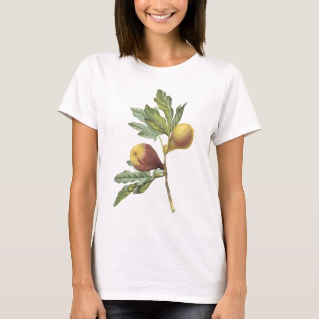 Camiseta higo (violacea del Ficus) por Redouté (Anverso)
