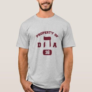 Camiseta Hillel DHA