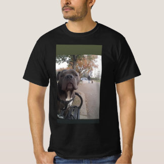 Camiseta Hipo