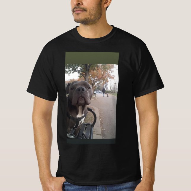 Camiseta Hipo (Anverso)