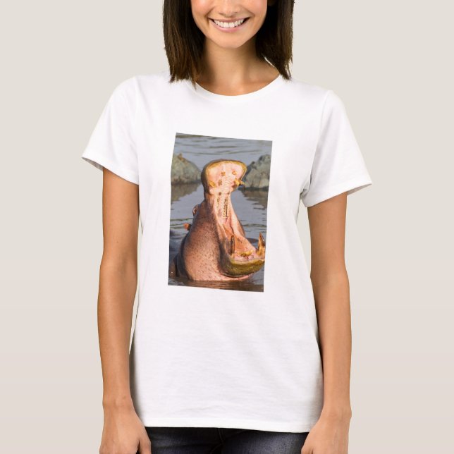 Camiseta Hipopótamo bostezando, Tanzania (Anverso)