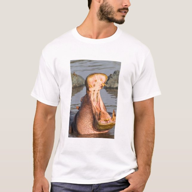 Camiseta Hipopótamo bostezando, Tanzania (Anverso)