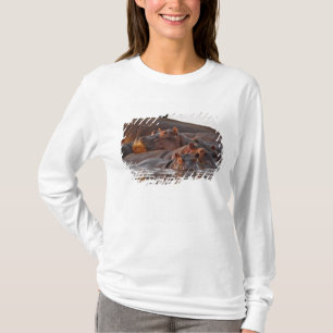 Camiseta Hipopótamo, Hippopotamus amphibius, Lago