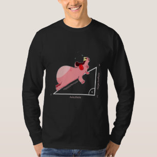 Camiseta Hippo Hipotenuse Triángulo Matematista