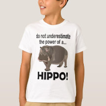 Hippopótamo Animal Gracioso Hippo Niños