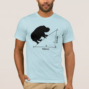Camiseta Hippotenuse