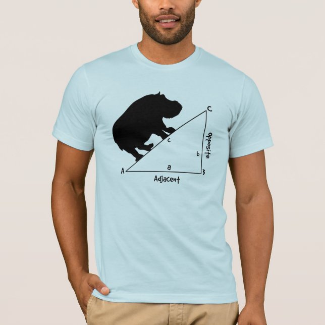 Camiseta Hippotenuse (Anverso)
