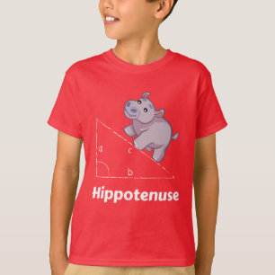 Camiseta Hippotenuse Funny Math