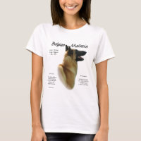 Historia belga malinois; todo sobre Malinois