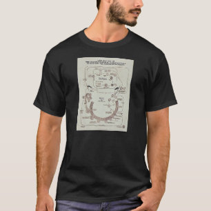 Camiseta Historia de vida del parásito de malaria