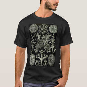 Camiseta Historia natural Lichen
