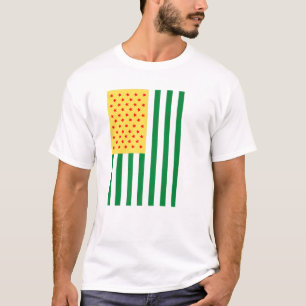 Camiseta Historia negra Bandera Melanina Hombres Niños Muje