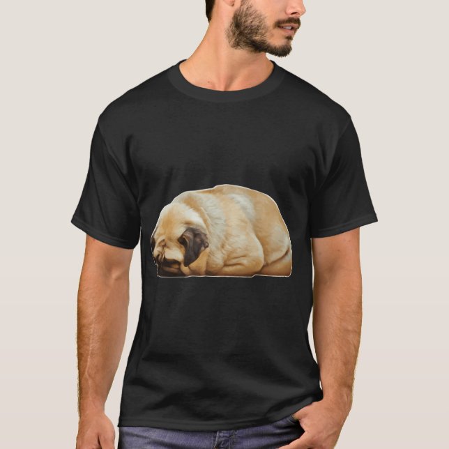 CAMISETA HOGAZA DE CARLINO (Anverso)