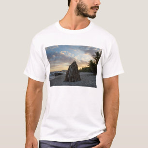 Camiseta Hoguera en Montezuma