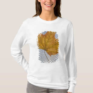 Camiseta Hoja de arce amarilla debajo del agua