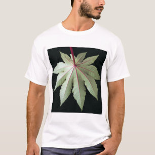 Camiseta Hoja y tronco
