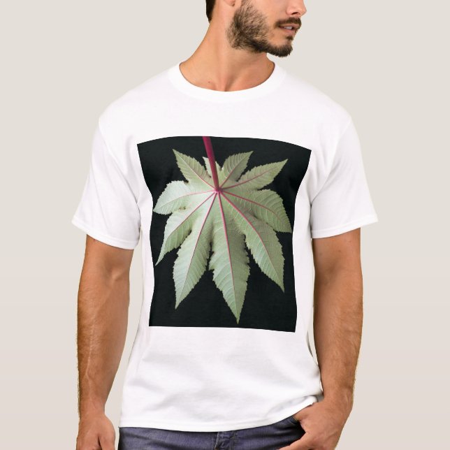 Camiseta Hoja y tronco (Anverso)
