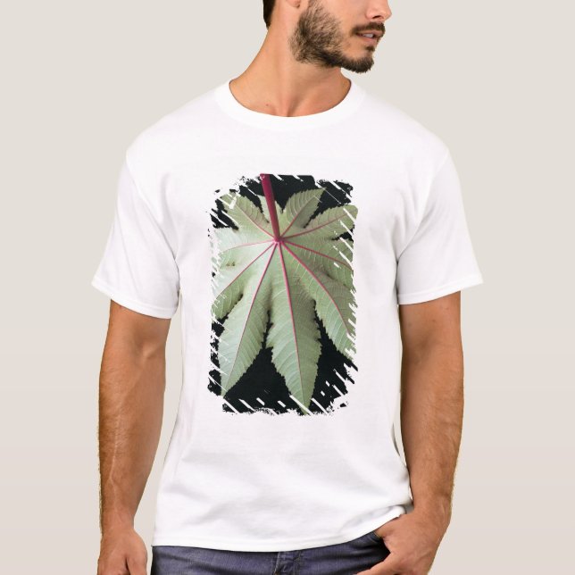 Camiseta Hoja y tronco (Anverso)
