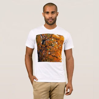 Camiseta Hojas de Amber en otoño