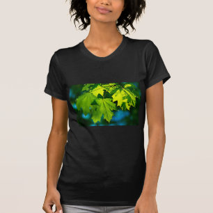 Camiseta Hojas de arce verde fresco