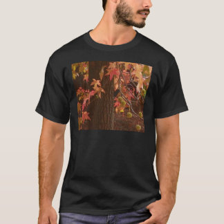 Camiseta hojas de la caída